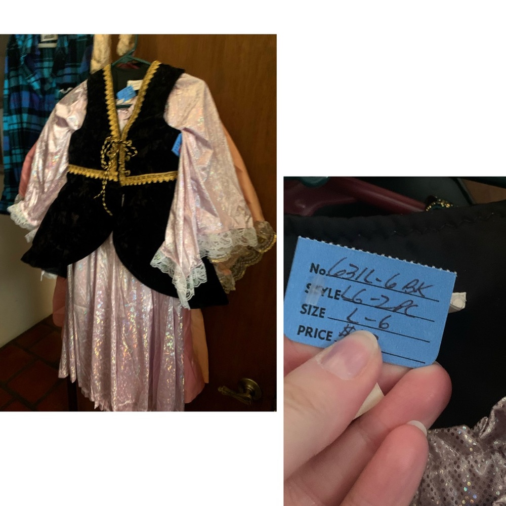Renaissance Princess Costume - Girl’s size 6/L
